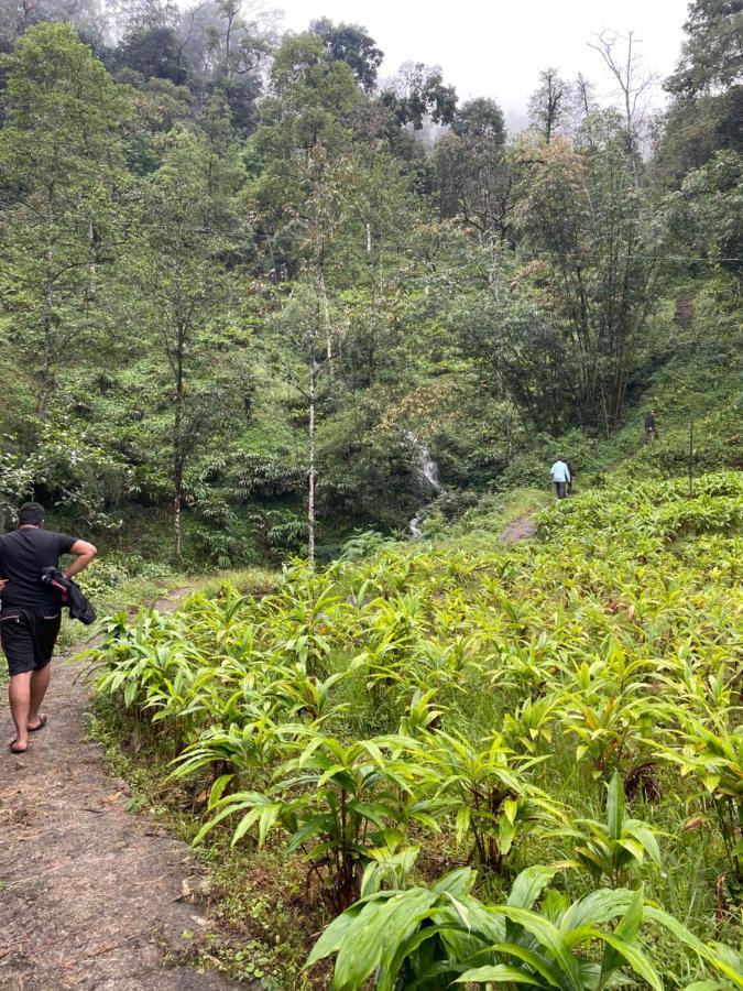 Khimsha Homestay Pelling Ngoại thất bức ảnh