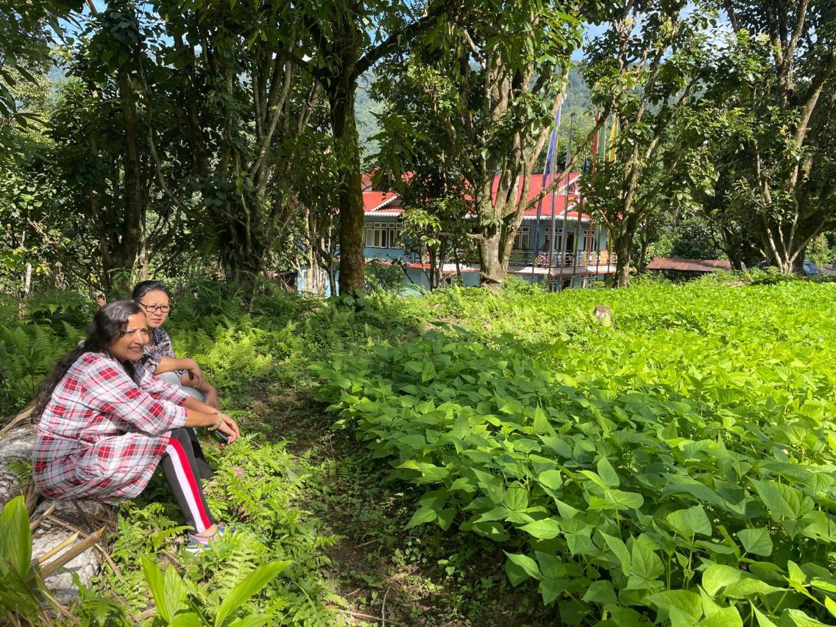 Khimsha Homestay Pelling Ngoại thất bức ảnh